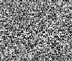Static - OTXO