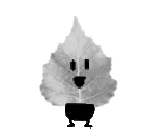 Birch Leaves - Toem: A Photo Adventure