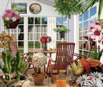 Conservatory - The Scruffs