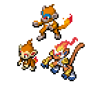 Chimchar, Monferno & Infernape - Pokémon Ranger 3: Guardian Signs
