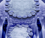 Blue Dragon Lair - Lunar 2: Eternal Blue Complete