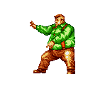 Cheng Sin Zan - Fatal Fury 2