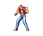 Terry Bogard - Fatal Fury 2