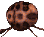 Tick - Marathon Infinity