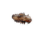 Bone Eel - Blood