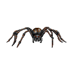 Spider - Blood