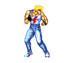 Ray McDougal - Fighter's History Dynamite (USA) / Karnov's Revenge (PAL)