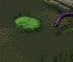 Geko Swamp (Day) - Digimon World
