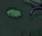 Geko Swamp (Night) - Digimon World