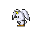 Rabbit - Soldam
