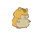 Hamster - Professor Layton and the Diabolical Box