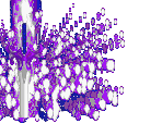 Acheron's Grief - Golden Sun 2: The Lost Age