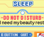 Pause Screens - Kirby & the Amazing Mirror