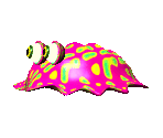 Slug - Yoshi's Story