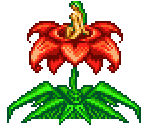 Alura Une - Castlevania: Aria of Sorrow