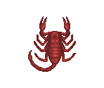 Insects - Animal Crossing: Wild World