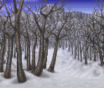 White Birch Forest (Battle Backdrop) - Tales of Phantasia (JPN)