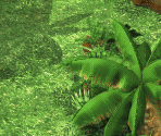 Amida Forest (Day) - Digimon World