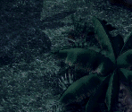 Amida Forest (Night) - Digimon World