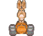Donkey - Shrek Swamp Kart Speedway