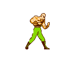 Chunfo / Moon - Street Fighter 4 (Bootleg)