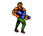 Roper - Battletoads & Double Dragon: The Ultimate Team