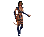 Female Warrior - Shadow Warrior