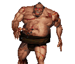 Sumo - Shadow Warrior