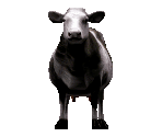 Cow - Redneck Rampage