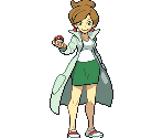 Opening Lecture - Pokémon Black / White