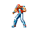 Terry Bogard - Fatal Fury Special