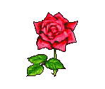 Flowers - River King: Mystic Valley / Harvest Fishing