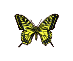 Insects - River King: Mystic Valley / Harvest Fishing