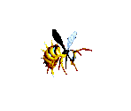 King Zing - Donkey Kong Country 2