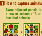 How to Play - Zooo