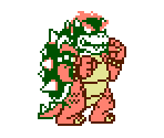 Koopa / Bowser - Kart Fighter (Bootleg)