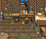 Neil's Cottage - Illusion of Gaia / Illusion of Time