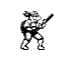 Donatello - Teenage Mutant Ninja Turtles 1: Fall of the Foot Clan