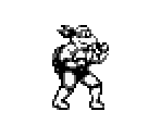 Michelangelo - Teenage Mutant Ninja Turtles 1: Fall of the Foot Clan