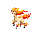 #078 Rapidash - Pokémon Black / White
