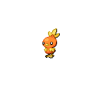 #255 Torchic (male) - Pokémon Black / White
