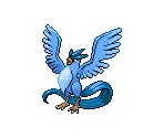 #144 Articuno - Pokémon Black / White