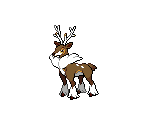 #586 Sawsbuck (winter) - Pokémon Black / White