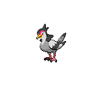 #520 Tranquill - Pokémon Black / White