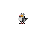 #519 Pidove - Pokémon Black / White