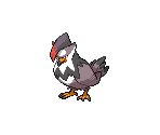 #398 Staraptor (male) - Pokémon Black / White