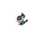 #441 Chatot - Pokémon Black / White