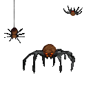Spiders - Shadowcaster