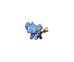 #403 Shinx (male) - Pokémon Black / White
