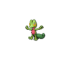 #252 Treecko - Pokémon Black / White